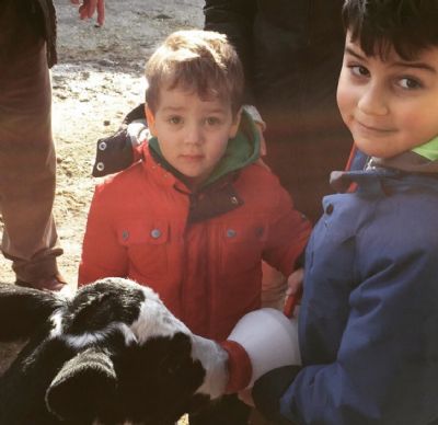 Bugün değil, her gün onlara sahip çıkalım! 4 Ekim Dünya Hayvanları Koruma Günü kutlu olsun