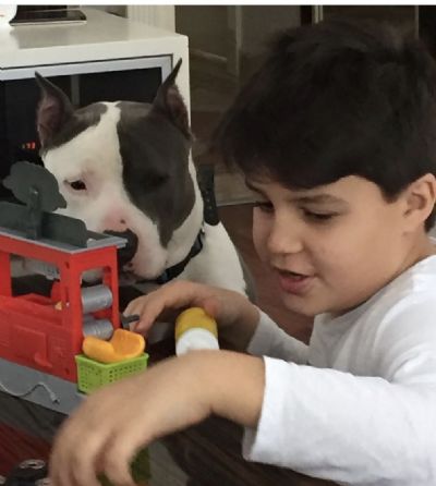 Bugün değil, her gün onlara sahip çıkalım! 4 Ekim Dünya Hayvanları Koruma Günü kutlu olsun