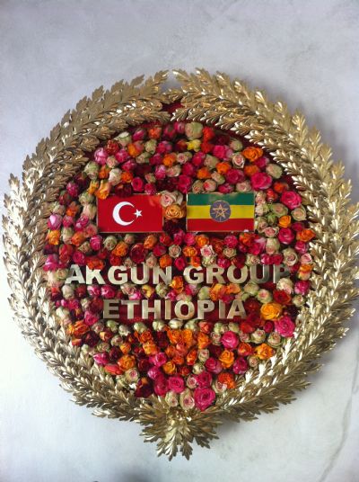 Etiyopya Sanayi Projeleri