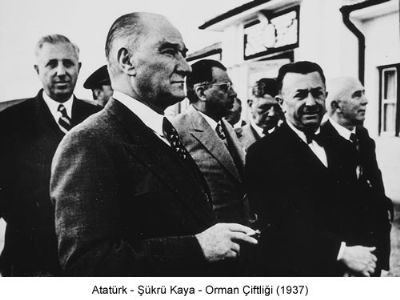 Foto Galeri